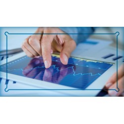 Professional Guide for Dividend Investing