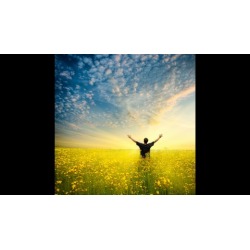 Celebrating Financial Freedom