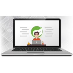 Ecossistema Spring: Framework, Spring Boot e Spring Data