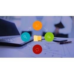Risk Management for Project Professionals (PMBOK6 Updated)