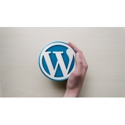 Wordpress Step by Step Website Creation With Free Plugin
