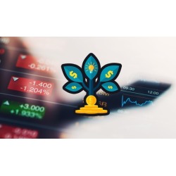 3 Master Steps to Retire on Cashflow Investing Stock Option