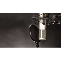Become a professional Voice Actor in 7 easy steps.