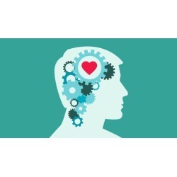 Understanding and developing Emotional Intelligence