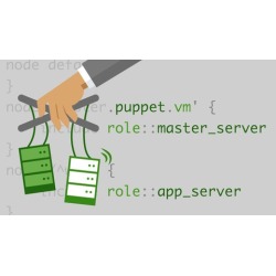 Puppet Professional Certification Practice Exams
