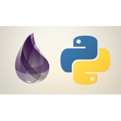 Python and Elixir Programming Bundle Course