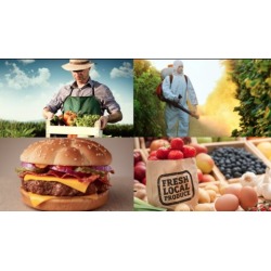 Healthy Eating in the 21st Century