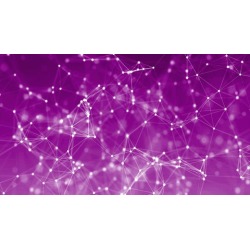 CompTIA JK0-022 E2C Security+ Network Security Practice Exam