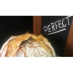 Sourdough Bread & Starter No Fail Recipe Easy To Understand