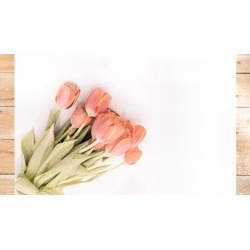 Mindful Photography for Beginners