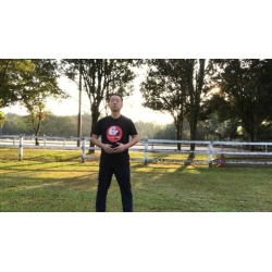 Tai Chi Fitness for Office - Relaxing and Stress Control