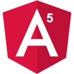 Angular 5 Concept Mastery Course