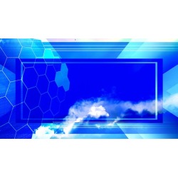 CAP Certified Authorization Professional Practice Exam