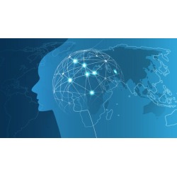 Decision Trees for Machine Learning From Scratch