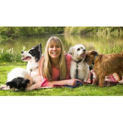 Dog Training - Stop Dog Barking - Easy Dog Training Methods