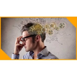 Entrepreneurship & Small Business Mindsets for Success