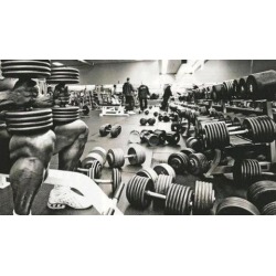 Massive Impact Training Certification