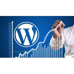 Wordpress SEO