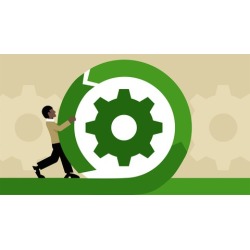Certified SAFe 4.6 Practitioner Practice Exams