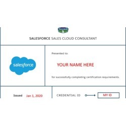 Salesforce Certified Sales Cloud Consultant Assessment Sets