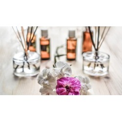 Essential Oils For Beginners