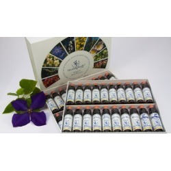Energy healing with Flower Remedies