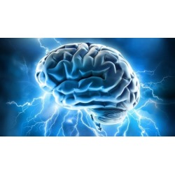 Remember More: Memory Improvement Techniques