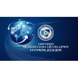 BTA Certified Blockchain Developer - Hyperledger - Mock Test
