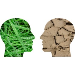 Change Management