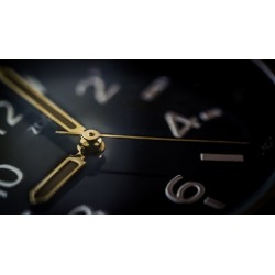 Time Management & Organization