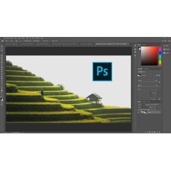 Master Photoshop selection