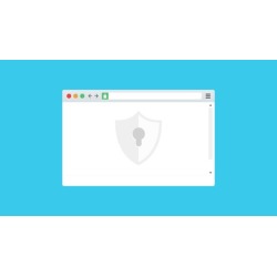 Wordpress Website Security:
