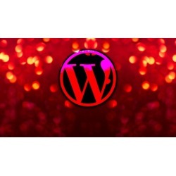 WordPress Social