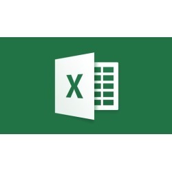 Microsoft Excel Complete Video Course in Urdu-Hindi