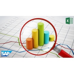 SAP Excel Integration