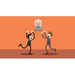 Magento Certified Professional Developer practice exams