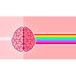 The Ultimate Memory Improvement Training Program 2.0