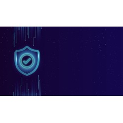 Certified Wireless Security Professional Practice Tests