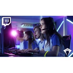 Building Your Twitch Channel For Small-Mid Sized Streamers