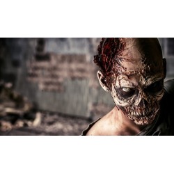 Special Effects (fx) Makeup Level 1