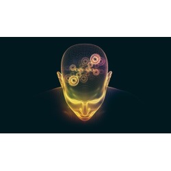 Mind Programming For Peak Performance