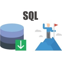 Business Analyst - SQL Survival Guide