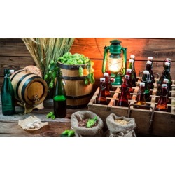 Learn How To Brew Beer At Home In 5 Easy Steps
