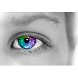 Mastering Adobe Lightroom: Complete Photo/Image Editing