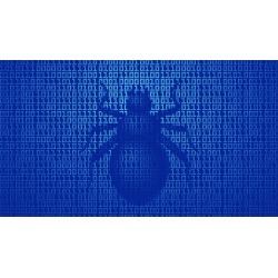 Manual Bug Bounty Hunting - Practical Approach to Hunt Bugs