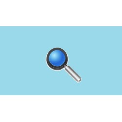 First Steps in Search Engine Marketing