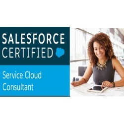 SALESFORCE Certified SERVICE CLOUD CONSULTANT