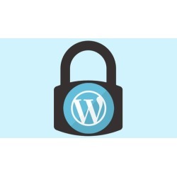 The Ultimate Step-By-Step Guide to WordPress Security