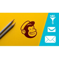 Email Marketing with Mailchimp + Sales Funnels & Copywriting