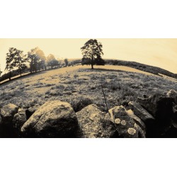 Black and White Mastery in Adobe Lightroom